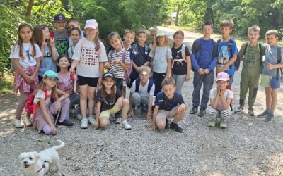 ZELENIM KORACIMA PREMA GRMOŠČICI