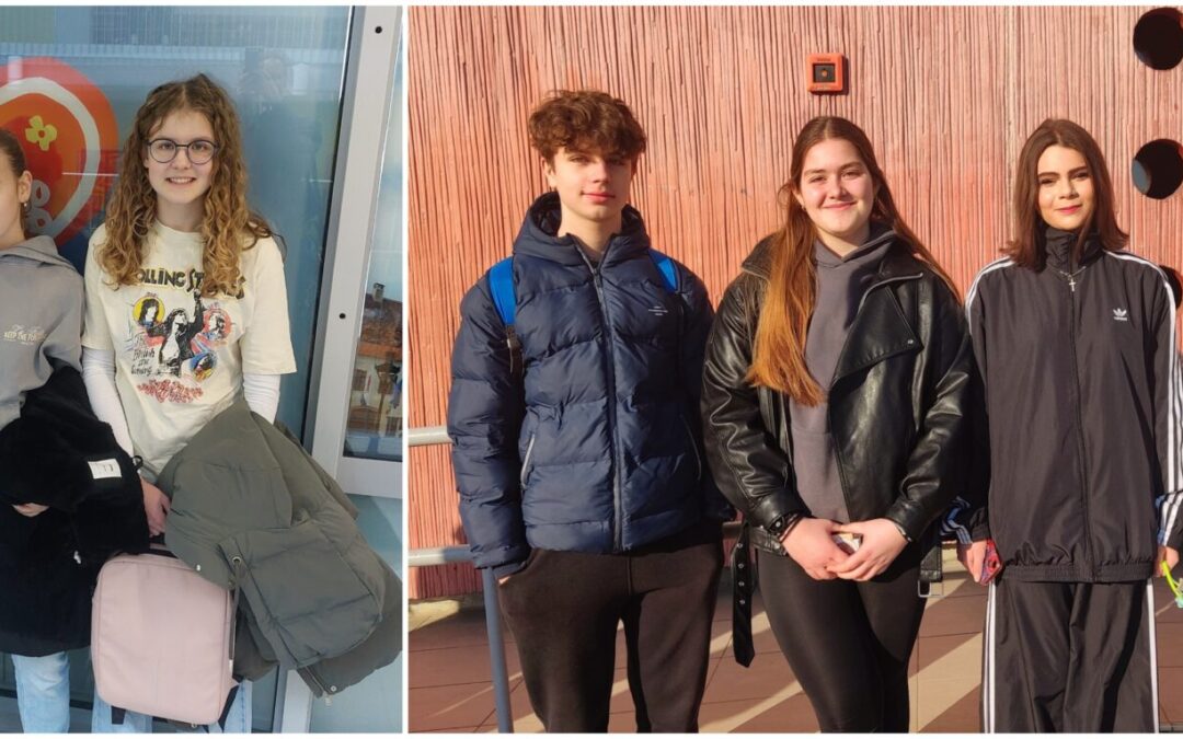 Županijsko natjecanje iz Engleskog jezika