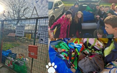 HUMANITARNA AKCIJA ZA UDRUGU ŠAPICA