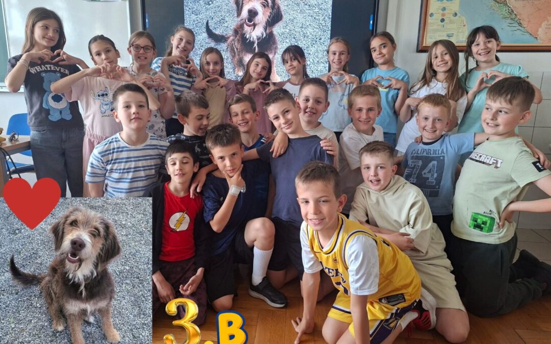 Veliko srce za malu šapicu – učenici 3.b postali kumovi kujici Melani