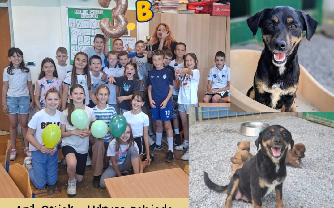 U 3.b se nastavlja priča dobrote